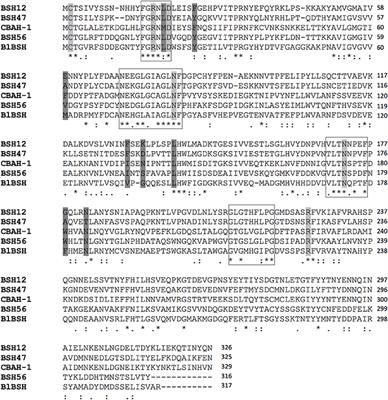 Bile-Salt-Hydrolases from the Probiotic Strain Lactobacillus johnsonii La1 Mediate Anti-giardial Activity in Vitro and in Vivo